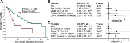 Figure 5. Prognostic significance of CDH1 mutation(s) in a combined cohort of diffuse-type gastric cancer. A, Kaplan–Meier survival curves showing survival outcomes for two subgroups stratified by CDH1 mutation status. B and C, univariate (B) and multivariate (C) Cox regression analyses for CDH1 mutation in relation to age, sex, and TNM staging.