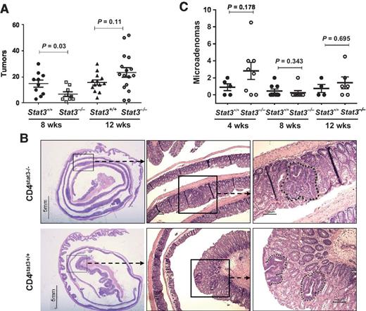 Figure 2. ETBF triggers colon tumorigenesis in Th17null Min-CD4Stat3−/− mice. A, colon tumors in parental (Stat3+/+) and CD4Stat3−/− (Stat3−/−) Min mice 8 and 12 weeks after ETBF colonization. Mean ± SEM. B, representative FFPE sections of rolled colons (left) from parental (Stat3+/+; lower) and CD4Stat3−/− (Stat3−/−; top) Min mice 3 months after ETBF colonization and micrographic characterization of microadenomas (middle and right) in CD4Stat3+/+ (bottom) and CD4Stat3−/−(top) Min mice 4 weeks after ETBF colonization. C, colonic microadenoma numbers 4, 8, and 12 weeks after ETBF colonization median ± IQR. P values, nonparametric Mann–Whitney U t test.