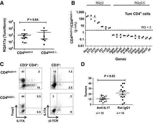 Figure 3. ETBF-mediated colon tumorigenesis is IL17 dependent in Th17null Min-CD4Stat3−/− mice. A, Il17a expression in tumor compared with normal colon tissue of parental Min (CD4Stat3+/+) and Min-CD4Stat3−/− (CD4Stat3−/−) mice 3 months after ETBF colonization. The plot shows 2−ΔΔCt where ΔΔCt represents $\Delta {C_{{{\rm{t}}_{{\rm{tum}}}}}} - \Delta {C_{{{\rm{t}}_{{\rm{norm}}}}}}$. Each symbol represents one mouse. Mean ± SEM. P values, nonparametric Mann–Whitney U t test. B, gene expression profile in CD4+ cells sorted from pooled distal colon tumors (3 to 5 tumors) in parental (CD4Stat3+/+) and CD4Stat3−/− (CD4Stat3−/−) Min mice 3 months after ETBF colonization. RQ (CD4Stat3+/+ / CD4Stat3−/−) = 2−ΔΔCt, where ΔCt of genes of interest in ETBF Min-CD4Stat3+/+ is compared with ETBF Min-CD4Stat3−/−. Genes overexpressed in parental Min-CD4Stat3+/+ mouse (RQ > 2) and genes overexpressed in Min-CD4Stat3−/−mouse (RQ < 0.5) are indicated. The mean of expression from two independent experiments is shown. C, representative flow cytometry analysis of enzymatically digested tumor tissue obtained from Min (CD4Stat3+/+, top) and Min-CD4Stat3−/− (CD4Stat3−/−, bottom) tumors 3 months after ETBF colonization. D, ETBF-colonized Min-CD4Stat3−/− mice were treated with a blocking anti-IL17 or isotype control Rat IgG1 mAbs twice weekly between week 6 and 12 following ETBF colonization. Mice were sacrificed 12 weeks after colonization and tumors were counted. Each symbol represents one mouse. Mean ± SEM. P values, nonparametric Mann–Whitney U t test.