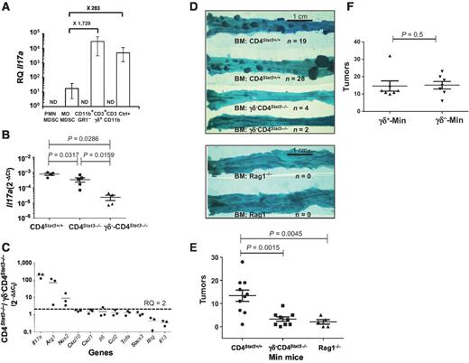 Figure 4. Late ETBF-driven colon tumorigenesis in Th17null Min-CD4Stat3−/− is γδT17 dependent. A, Il17a gene expression in tumor-infiltrating cell populations (PMN-MDSC, MO-MDSC, CD11b+GR-1−, γδ+CD3+, CD3−CD11b−) sorted from 3-month colon tumors of ETBF Min-CD4Stat3−/− mice. Positive control population (Ctrl+) represents CD3+CD4+ cells sorted from colon tumors of ETBF Min-CD4Stat3+/+ mice. Bars represent RQ IL17 = 2−ΔΔCt, where ΔΔCt represents the difference between normalized ${C_{{{\rm{t}}_{{\rm{Il17a}}}}}}$$(\Delta {C_{{{\rm{t}}_{{\rm{Il17a}}}}}})$ in the population of interest and $\Delta {C_{{{\rm{t}}_{{\rm{Il17a}}}}}}$ in CD3+CD4+ cells of ETBF Min-CD4Stat3−/− mice. ND, not detectable. Fold increases in Il17a expression between populations are displayed on the top. B, Il17a expression in distal colon of WT CD4Stat3+/+, CD4Stat3−/−, and γδ−-CD4Stat3−/− C57BL/6 mice 7 days after ETBF colonization. Graph represents 2−ΔCt, where ΔCt is normalized ${C_{{{\rm{t}}_{{\rm{Il17a}}}}}}$. Each symbol represents one mouse. Mean ± SEM, P values, nonparametric Mann–Whitney U t test. C, comparison of inflammation gene expression in the distal colon of CD4Stat3−/− and γδ−-CD4Stat3−/− C57BL/6 mice 7 days after ETBF colonization. Each dot represents the ratio RQ (CD4Stat3−/− / γδ−-CD4Stat3−/−) = 2−ΔΔCt. The mean of three experiments is shown. A ratio RQ >2 indicates genes overexpressed in CD4Stat3−/− compared with γδ−-CD4Stat3−/− mice. Statistical analysis is shown in Supplementary Fig. S4B. D, colon tumorigenesis in bone marrow (BM) chimera Min mice obtained by engrafting WT (top), γδ−-CD4Stat3−/−(middle), or Rag1−/− (bottom) bone marrow into lethally irradiated IL17−/− Min mice. Bone marrow chimera mice were colonized with ETBF 6 weeks after engraftment and colon tumor counts determined 12 weeks after colonization. Tumor numbers are indicated. E, tumor numbers in bone marrow chimera Min mice that received either C57BL/6 CD4Stat3+/+ (n = 10; circles) or γδ−-CD4Stat3−/−(n = 9; squares) bone marrow and colonized 3 months with ETBF. Bone marrow chimera Min mice that received Rag1−/− bone marrow (n = 2) did not differ from Rag1−/− Min mice (n = 3) upon ETBF colonization, so the groups were combined (Rag1−/−, n = 5; triangles). Each symbol represents one mouse. Mean ± SEM. P values, nonparametric Mann–Whitney U t test. F, tumor numbers in parental (γδ+/+-Min) and γδ−/−-Min mice 8 weeks after ETBF colonization. Each symbol represents one mouse. Mean ± SEM. P values, nonparametric Mann–Whitney U t test.