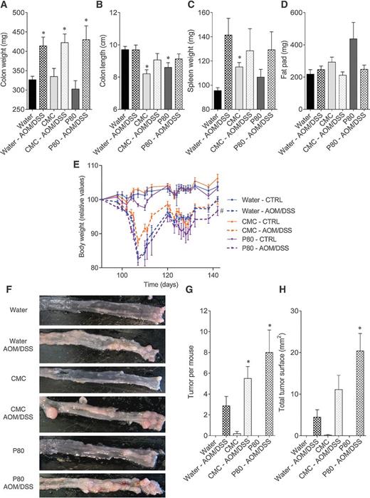Dietary EmulsifierInduced LowGrade Inflammation Promotes Colon Carcinogenesis Cancer