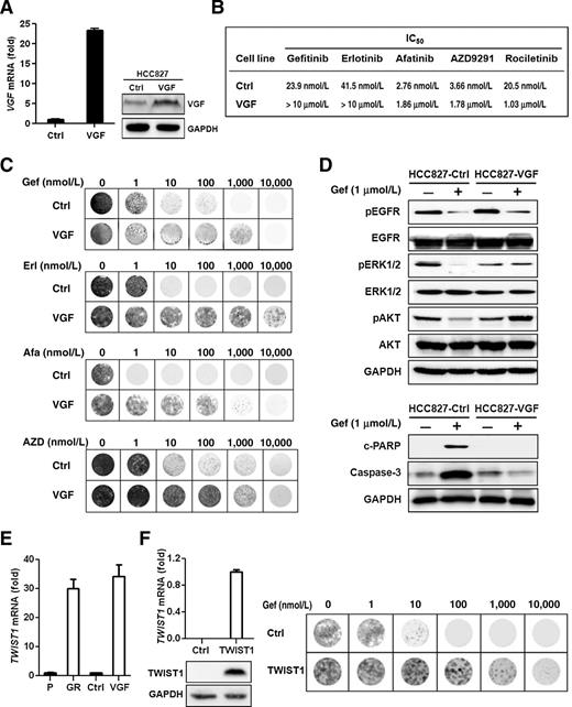 Expression of Neuroendocrine Factor VGF in Lung Cancer Cells Confers ...