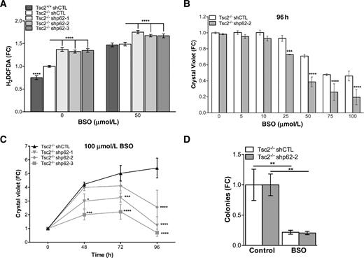 Figure 7. p62 promotes adaptation to oxidative stress. A, In Tsc2−/− shCTL MEFs and Tsc2−/− shp62 MEFs, intracellular ROS were assessed by H2DCFDA assay in basal conditions and BSO treatment (50 μmol/L, 48 hours). B, Effects of GSH biosynthesis inhibition were assessed by Crystal violet in dose–response experiments at 96 hours. C, Effects of GSH biosynthesis inhibition were assessed by Crystal violet in time course (100 μmol/L) experiments. D, Cells were grown in soft agar and treated with 25 μmol/L BSO twice per week for 4 weeks. Data are mean ± SD with *, P < 0.05; ***, P < 0.001; ****, P < 0.0001.