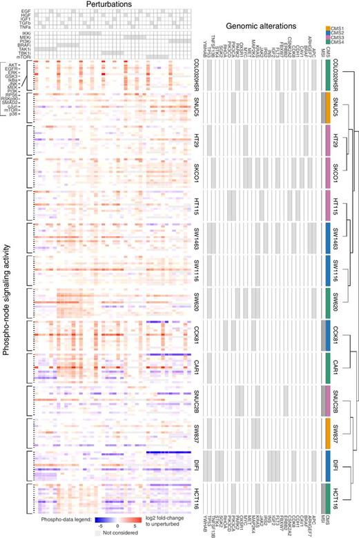 Figure 2. Large-scale experimental perturbation dataset. Data for 14 colorectal cancer cell lines in response to 43 different perturbed conditions with 14 measured phosphoproteins. Genomic alterations affecting investigated pathways are also shown along with molecular subtypes. Cell lines are clustered based on phosphorylation profile across all perturbations.