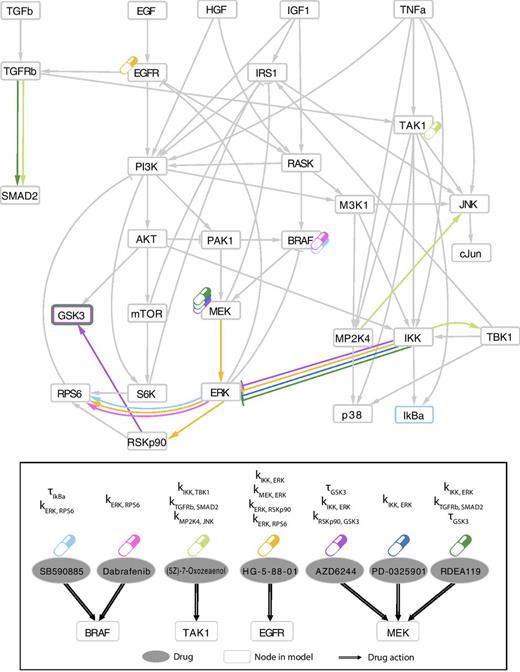 Figure 5. Associations between model parameters and drug sensitivity. Among the top 25 parameter–drug associations resulting from Elastic Net selection, those involving drugs with no genetic biomarkers are schematically mapped to the signaling pathways. Drug targets for the 7 drugs listed as ellipses in the bottom panel are shown in the compressed PKN (top panel) using the corresponding colored drug symbols. Corresponding model parameter associations for each drug are shown in the PKN using the same color code to mark edges corresponding to parameters kj,i (strength of edge from j to i) and nodes border for corresponding parameters τi (responsiveness of node i).