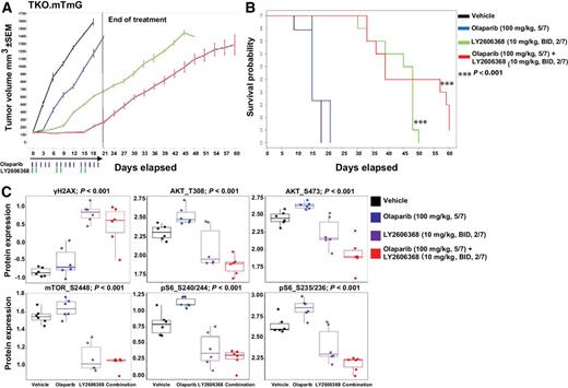 Figure 6. CHK1 targeting augments the effect of PARP inhibitors in SCLC models. A, Tumor volume changes (mean ± SEM) in mice treated with vehicle (control), LY2606368 [10 mg/kg, twice daily (BID), days 1 and 2 of each 7-day cycle], olaparib (100 mg/kg, five times weekly), or LY2606368 + olaparib (n = 10 mice per group). The P values were calculated using the Student t test. B, Survival of mice treated with vehicle (control), LY2606368, olaparib, or LY2606368 + olaparib. The P value was established by the Mantel–Cox test. C, RPPA analysis corresponding to the indicated AKT/mTOR pathway and DNA damage markers in SCLC in vivo tumor samples treated with vehicle, olaparib (100 mg/kg, 5/7), LY2606368 (10 mg/kg, twice daily, 2/7), or combination and collected at the end of the first treatment cycle (false discovery rate < 0.05).