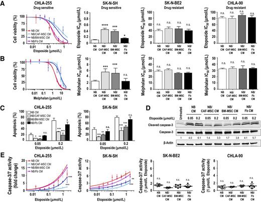 Figure 4. CAF-MSCs protect tumor cells from drug-induced apoptosis. A and B, Indicated neuroblastoma (NB) cells were cultured in CM from neuroblastoma, NB/CAF-MSC, NB/BM-MSC, or NB/Fb cocultures, treated with etoposide (A) or melphalan (B) at the indicated concentrations for 48 hours, and examined for cell viability. The graph on the left represents the dose–response curve with the mean (±SD) percentage of viable cells from control (no drug) in triplicate samples and are representative of one of three independent experiments showing similar results. The histograms on the right represent the mean (±SD) IC50 values calculated from the dose–response curves. C, Neuroblastoma cells were cultured as described in A, treated at the indicated concentrations of etoposide, and examined after 48 hours for apoptosis by flow cytometry. The histograms represent the mean (±SD) percentage of Annexin V+/PI+ and Annexin V+/PI− cells from triplicate samples, and results are representative of one of two independent experiments showing similar results. D, CHLA-255 cells were cultured and treated as in C and examined after 48 hours for cleavage of caspase-3 by Western blot analysis. β-Actin was used as a loading control. E, Indicated neuroblastoma cells were cultured and treated as described in A and examined for caspase-3/7 activity after 48 hours. The data represent the mean fold change (±SD) of caspase-3/7 activity from triplicate samples and are representative of one of two independent experiments showing similar results. The scatter dot plot graphics on the right represent the mean fold change (±SD) of caspase-3/7 activity of neuroblastoma treated with etoposide at a concentration of 1 μmol/L and are representative of one of two experiments showing similar results. *, P < 0.05; **, P < 0.01; ***, P < 0.001; ****, P < 0.0001; n.s., nonsignificant.