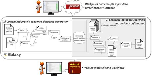 Figure 1. Overview of the proteogenomic informatics resource. The main steps are shown comprising the two core workflows making up this resource: (i) customized protein sequence database generation from RNA-Seq data; and (ii) sequence database searching using MS/MS data and the customized protein database, followed by variant peptide confirmation.