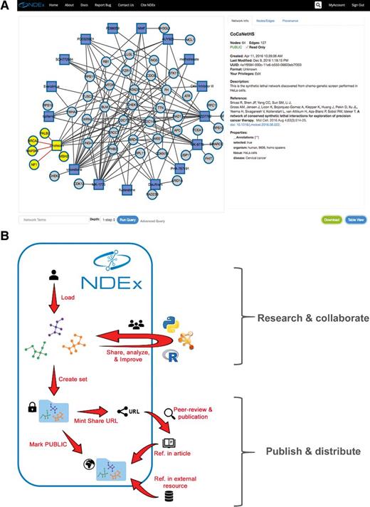 Figure 1. Collaboration and dissemination via NDEx. A, Any network in NDEx can be explored using the interactive graphic panel on the left hand side and info section on the right. Additional tabs in the info section allow users to explore in detail nodes and edges and the network provenance history. B, Schematic representation of an NDEx workflow for collaboration and publication; see text for a detailed description.