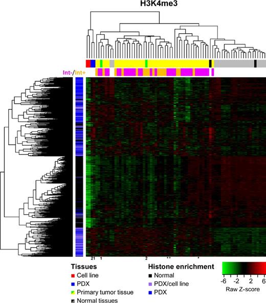 Figure 3. Expression variation analysis revealed the strong correlation of tissue-specific H3K4me3 histone peaks with an expression of nearby genes. Two normal and two xenograft tissues were compared by histone enrichment distribution at 5′UTR of all known genes to detect disease specific histone enrichment peaks (vertical bar beside heatmap: normal, black; cancer, blue and purple), with all overlapping histone enrichment peaks removed from the analysis (Supplementary Table S3). In addition, purple regions were detected both in xenografts and cell lines. The expression of the associated gene to each differentially enriched region was evaluated by RNA-Seq for all six ChIP-Seq study samples [horizontal bar above heatmap: cell lines, red; xenografts, blue (1 and 2), and normal controls, black) as well as an extended cohort of 47 HPV+ tumors [yellow, including PDX-parental tissues/green (1 and 2)] and 25 noncancer controls (gray/black). The expression of the nearest gene was calculated as Z-score ranging from −6 (underexpression) to 6 (overexpression). Both sample- (columns) and tissue-specific histone enrichment regions (rows) were hierarchically clustered without supervision, which revealed segregation of samples and histone enrichment by disease status. The P values for disease-specific samples segregation is listed in Table 1. The HPV status of HNSCC samples is indicated as pink (Int−, episomal HPV genome with no detected HPV integration into the host genome by MapSplice) or orange (Int+, integration of HPV into host genome detected by MapSplice). Three tumor samples with TNM stage III are indicated by asterisks.