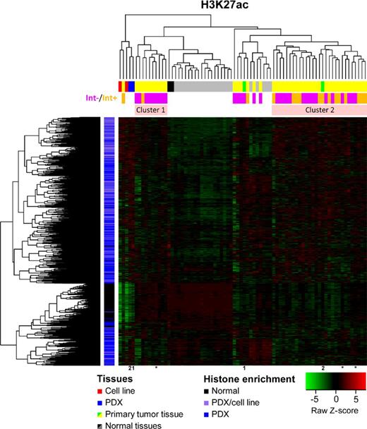 Figure 4. Expression of genes next to tumor-specific H3K27ac enrichment signatures correlates with HPV integration status of HNSCC samples. The analysis was performed similarly to that shown in Fig. 3. Two normal and two xenograft tissues were compared by histone enrichment distribution near 5′UTR of known genes to detect disease-specific histone enrichment peaks (vertical bar beside heatmap: normal, black; cancer, blue and purple; see Supplementary Table S4 for gene list). The expression of the closest gene to each differentially enriched region was evaluated by RNA-Seq for six ChIP-Seq study samples [horizontal bar above the heatmap: cell lines, red; xenografts, blue (1 and 2); and normal controls, black] as well as extended HPV+ cohort of 47 tumors [yellow or green (1 and 2) and 25 noncancer controls (gray/black)]. The expression of the associated gene was calculated as Z-score ranging from −5 (underexpression) to 5 (overexpression). The HPV status of HNSCC samples was indicated as pink (Int−, episomal HPV genome with no detected HPV integration into the host genome by MapSplice) or orange (Int+, integration of HPV into host genome detected by MapSplice). Segregation of samples by gene expression of H3K27ac-enriched genes revealed two dominate tumor clusters (salmon, Clusters 1 and 2) with a different distribution of Int+ HPV HNSCC samples. Three tumor samples with TNM stage III are indicated by asterisks.