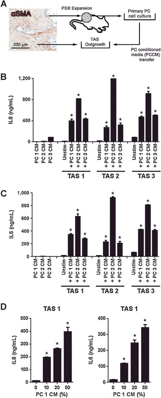 Figure 2. Primary tumor-associated stroma cultures secrete IL8 and IL6 in response to primary PCCM. A, Micrograph demonstrating αSMA-positive (brown) desmoplasia associated with pancreatic cancer. Primary TAS cells were cultured from pancreatic cancer specimens and pancreatic cancer cells were isolated and expanded from patient-derived xenografts. TAS cells were treated with conditioned media from primary pancreatic cancer cells (PCCM). B and C, IL8 and IL6 in PCCM as well as the supernatants resulting from 24 hours of exposure or not to 50% dilution of PCCM. D, Dose response of IL8 and IL6 expression by TAS upon exposure to PCCM. Bars, mean ± SEM. *, P < 0.05 compared with unstimulated (unstim) using the independent samples t test.