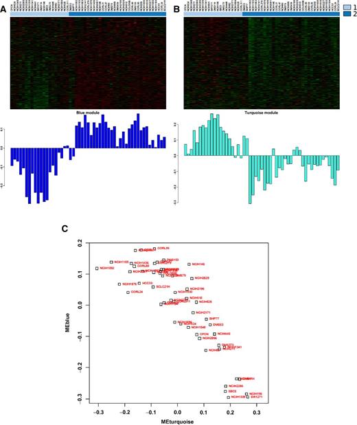 Figure 1. Identification of two phenotypes in SCLC cell lines and patients. Consensus clustering was used to identify robust clusters of CCLE cell lines (A and C) and CLCGP tumor specimens (B and D). The consensus score is the frequency that a given pair of samples was placed in the same cluster over 1,000 iterations. The cumulative distribution of SCLC cell line (A) and patient (B) consensus scores is shown for values of k from 2 to 10. These results most strongly support two transcriptional subtypes in SCLC cell lines and patients, though in cell lines, four subtypes may also be a good fit. Corresponding consensus score heatmaps for SCLC cell lines (C) and patients (D) are shown for k = 2 to k = 4. Each point represents a pair of samples, colored by consensus score from white (0, never co-cluster) to blue (1, always co-cluster). k = 5 to k = 8 are shown in Supplementary Fig. S1.