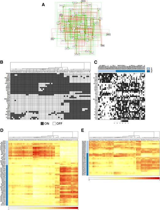 Figure 3. TF network predicts NE and ML attractors. A, The 33 TF SCLC regulatory network. Green edges indicate activation, while red indicate inhibition. B, Boolean simulations identified 57 stable attractors (columns). TF expression patterns for all attractors is displayed in rows: shaded cells represent TFs that are ON; white represents OFF. C, TF expression in the CCLE dataset reveals similar expression patterns to in silico attractors. D, Correlation score between attractors (columns) and cell lines (rows). Positive correlation, red; no correlation, yellow; negative correlation, white. Attractors 49–25 show high correlation with the NE cell lines, while attractors 35–34 show high correlation with the ML cell lines. Nevertheless, several cell lines are uncorrelated with NE or ML attractors, possibly revealing a hybrid phenotype. E, Pearson correlation scores were computed as in D between the 57 attractors (columns) and 28 SCLC patient tumor specimens from the CLCGP (rows).