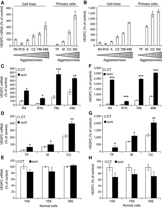 Figure 1. Sunitinib increased VEGFC expression. A–H, Different RCC cell lines [RCC4 (R4), RCC10 (R10), ACHN (A), Caki-2 (C2), 786-O (786) and A498 (498)] and primary RCC cells (TF, M, CC, and M2) and normal renal cells (14S, 15S, and 18S) were evaluated for VEGFC mRNA levels by qPCR (A, C, D, E) and for VEGFC protein in cell supernatants by ELISA (B, F, G, H). C and F, RCC cell lines were treated with 5 μmol/L sunitinib (suni) for 48 hours. D and G, Primary cells were treated with sunitinib (10 μmol/L for TF, and 5 μmol/L for M and CC) for 48 hours. E and H, Normal kidney cells were treated with 5 μmol/L sunitinib for 48 hours. For A, C, and D, the mRNA level of R4 is considered as the reference value (100%). Data are represented as mean of three independent experiments ± SEM. *, P < 0.05; **, P < 0.01; ***, P < 0.001.