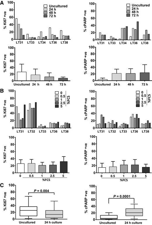 Figure 2. Establishment of optimal explant culture conditions. A, Evaluation of proliferation and cell death levels with increasing time of explant culture. The percentage of Ki67 (left graphs) and the percentage cPARP (right graphs) IHC staining of 5 NSCLC ex vivo explants over time are shown. The staining values were generated from the uncultured tumor in its native state and from explants from the same tumor at 24, 48, and 72 hours of culture after an initial recovery of 16 to 20 hours. The graphs at the top show individual values for each of the 5 tumors and the graphs on the bottom indicate pooled mean values for the 5 samples ±95% confidence interval (CI). Page L nonparametric trend test showed a negative trend for Ki67 staining with increasing culture time (P = 0.01; L statistic = 143) and a positive trend for cPARP staining with increasing culture time (P = 0.05; L statistic = 140). B, Evaluation of percentages of Ki67 and cPARP staining with varying FCS concentration. The percentage of Ki67 (left graphs) and percentage of cPARP (right graphs) IHC staining of 5 NSCLC ex vivo explants over time are shown. The staining values were generated from the uncultured tumor in its native state and from explants from the same tumor cultured in varying FCS concentrations for 24 hours after an initial recovery of 16 to 20 hours. The graphs at the top show individual values for each of the 5 tumors, and the graphs on the bottom indicate pooled mean values for the 5 samples ±95% CI. Page L nonparametric trend test showed no significant difference for Ki67 or cPARP staining with varying FCS concentration. C, Summary of the effect of cultivation. The percentage of Ki67 (left graph) and percentage of cPARP (right graph) staining were determined for 21 explant cultures. The box and whiskers plots show the data for uncultured tumors compared with tumors cultured for 24 hours + 16 to 20 hours of recovery in 1% FCS. The boxes extend from the 25th to 75th percentiles, and the lines in the middle of the boxes represent the median. The whiskers extend from the smallest to the largest values.