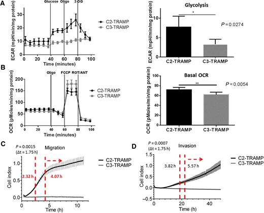 Figure 1. A–D, In vitro profiling of the tumorigenic TRAMP-C2 and nontumorigenic TRAMP-C3 cell lines. A, Metabolic flux analysis of ECAR was measured in real-time using a Seahorse XFe-96 Analyzer. C2 cells exhibited increased glycolysis, compared with C3 cell line. *, P = 0.0274. Glycolytic capacity was higher in the C2 cells. **, P = 0.001. B, The basal OCR of the two cell lines was not different. The C3 cells had a slight, albeit, significant increase in respiratory capacity. **, P = 0.0082. C, In vitro motility, which was measured by impedance that was caused by migration in both cell lines and recorded by the xCELLigence Real-Time Cell Analyzerinstrument, C2 cells had high migration, and C3 line was not motile. ***, P = 0.0007. D, Invasiveness comparison between C2- and C3- cells measured by increases in impedance; following transwell migration assay, the C2 cells were more invasive. **, P = 0.0015. A Mann–Whitney statistical test was used to show that the two time series curves are from different populations. Both migration and invasion were normalized to proliferation rate.