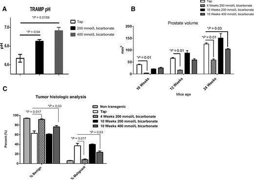 Figure 4. Reduction of tumor growth in TRAMP model. A, In vivo measurements of the pH of the prostate in tap, 200 mmol/L bicarbonate-treated groups, and 400 mmol/L bicarbonate-treated group (n = 3 for each cohort) were obtained immediately prior to euthanasia. pH was measured using single-barrel pH microelectrode, MI-419 (Microelectrode, Inc.). The results indicate a statistically significant increase in pH in the bicarbonate-treated animals compared with the tap animals. *, P = 0.015; *, P = 0.04. Mean ± SEM is shown. B, Prostate volume measurements of different treatments; nontransgenic (n = 5), TAP (n = 7), late start 200 mmol/L bicarbonate treatment (n = 5), early treatment at 200 mmol/L bicarbonate (n = 5), and late treated with 400 mmol/L bicarbonate (n = 7) cohorts obtained through US imaging. Data show that mice treated with higher dose (400 mmol/L sodium bicarbonate) at 4 weeks of age maintained reduced prostate volumes throughout study (*, P = 0.016), whereas the late-treated mice (started at 10 weeks) only showed reduced volume at 24 weeks (*, P = 0.03). C, Histologic quantitative analysis of prostate tumors showing percent pixels associated with benign and malignant phenotypes in prostate tumors of different treatment cohorts. These show significant differences in the percent of benign and malignant tumors observed in the 4-week-old treated mice and late treated with increased doses compared with other groups. *, P = 0.017 and *, P = 0.03, respectively. A two-tailed Student t test was used to calculate statistical significance.