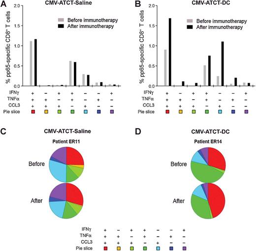 Figure 4. CMV pp65-specific CD8+ T cells catalogued by quality before and after immunotherapy. The CMV pp65-specific CD8+ T-cell response is composed of distinct responders that vary by functionality. Aggregate data analyses were performed to determine the relative mean distribution of CMV pp65-specific CD8+ T cells expressing one or more functions defined by IFNγ, TNFα, and CCL3 before (gray bar) and after (black bar) immunotherapy in all patients who received CMV-ATCT-saline, n = 7 (A) or CMV-ATCT-DC, n = 8 (B). Bars represent mean frequencies of CMV pp65-specific CD8+ T cells expressing the particular combination of functions shown. C and D, The qualitative distribution of CMV pp65-specific CD8+ T cells before and after immunotherapy is shown for a single patient representative of either arm. ER11 and ER14 refer to the ERaDICATe trial patient numbers.