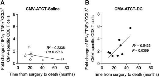 Figure 6. Correlation of fold change of polyfunctional CMV pp65-specific CD8+ T cells with OS. Linear regression analysis was performed with the fold change of CMV pp65-specific CD8+ T cells with simultaneous expression of IFNγ, TNFα, and CCL3 and OS for all patients randomized to CMV-ATCT-saline (A; R = −0.4835, P = 0.2716 nonsignificant) or CMV-ATCT-DC (B; R = 0.7371, P = 0.0369). n = 7 for A; n = 8 for B. Associations of survival outcomes with polyfunctional T-cell frequencies were assessed using the Pearson correlation coefficient.