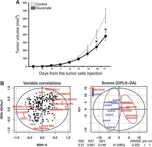 Figure 4. Gluconate reduces tumor growth and changes metabolic characteristics of cancer tissue. A, Mice were injected subcutaneously with human pancreatic L3.6pl cancer cells. Tumor growth was significantly decreased in the group injected daily intraperitoneally with 10 mg of sodium gluconate (in 100 μL); the control group was injected with NaCl (100 μL). B, Tumors were removed from the mice and subjected to target metabolite analysis, followed by OPLS-DA analysis. Highest correlations of metabolites to the two groups were calculated to be the ratio of (acetylcarnitine+propionylcarnitine)/free carnitine (abbreviated as C2+C3)/C0, ß-oxidation of even-numbered fatty acids (C2/C0), ratio of poly-unsaturated to saturated glycerophosphocholines [PUFA(PC)/SFA(PC)], hydroxylated ceramide phosphoholine SM(OH)24.1 and SM(OH)C14.1, hydroxylated ceramide phosphocholines [Total(SM)OH], ratio of ceramide phosphocholines (sphingomyelins) to total phospholipid pool [Total SM/Total (SM+PC)], ratio of total ceramide phosphocholines (sphingomyelins) to total glycerophosphocholines (Total SM/Total PC), ratio of total DMA/arginine (Total DMA/Arg) and octanoyl-L-carnitine (C8) and asparagine (Asp). Calculations can be found in Supplementary Fig. S5.
