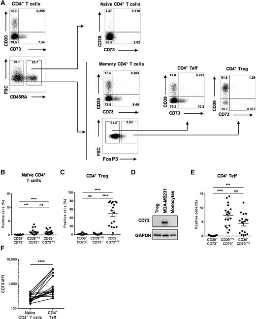 Figure 1. CD39 and CD73 are expressed on distinct subsets of memory CD4+ T cells. A, Representative expression of CD39 and CD73 on CD4+ T-cell subsets from HD-blood analyzed by FC. B, C, and E, Cumulative data from 17 donors of the different subsets defined by the expression of CD39 and CD73 among naïve CD4+ T cells (B), CD4+ Tregs (C), and CD4+ Teffs (E; statistical analysis, Friedman test). D, Tregs were analyzed for CD73 expression by Western blot analysis (CD73, 70 kDa). F, Intensity of CD73 staining on naïve CD4+ T cells and CD4+ Teffs (statistical analysis, Wilcoxon test). ***, P < 0.001; ****, P < 0.0001; ns, nonsignificant.