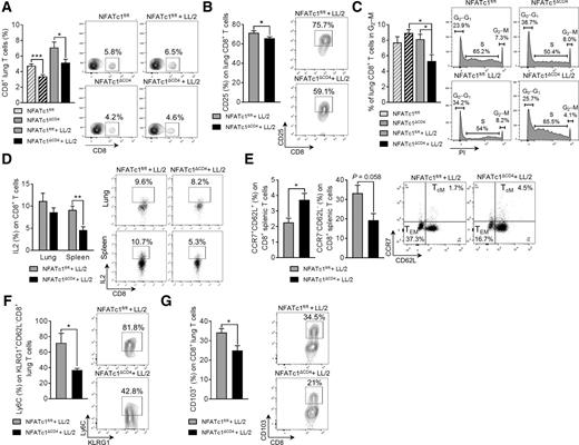 Figure 4. NFATc1 influences tissue homeostasis and differentiation of memory CD8+ T cells. A, Flow cytometry analyses of CD8+ T cells (%) in total lung cell suspension of naïve and lung tumor–bearing NFATc1fl/fl and NFATc1ΔCD4 mice (NNFATc1fl/fl = 12, NNFATc1ΔCD4 = 11; NNFATc1fl/fl+LL/2 = 11, NNFATc1ΔCD4+LL/2 = 13). B, Flow cytometry analyses of CD25 expressing CD8+ T cells (%) in total lung cell suspension of lung tumor–bearing NFATc1fl/fl and NFATc1ΔCD4 mice (NNFATc1fl/fl+LL/2 = 8, NNFATc1ΔCD4+LL/2 = 11). C, PI proliferation analysis of CD8+ T cells isolated from the lungs of naïve and tumor-bearing NFATc1fl/fl and NFATc1ΔCD4 mice (NNFATc1fl/fl = 3, NNFATc1ΔCD4 = 3; NNFATc1fl/fl+LL/2 = 4, NNFATc1ΔCD4+LL/2 = 4). D, Flow cytometry analysis of IL2 production by CD8+ T cells (%) in total cell suspension of the lung and the spleen of tumor-bearing NFATc1fl/fl and NFATc1ΔCD4 mice (lung: NNFATc1fl/fl+LL/2 = 8, NNFATc1ΔCD4+LL/2 = 11; spleen: NNFATc1fl/fl+LL/2 = 4, NNFATc1ΔCD4+LL/2 = 5). E–G, Flow cytometry analysis of CD8+ memory T cells in the spleen and the lung of tumor-bearing NFATc1fl/fl and NFATc1ΔCD4 mice. Percentage of CCR7+CD62L+CD8+ (%) central memory T cells (TCM) and CCR7−CD62L−CD8+ (%) effector memory T cells (TEM) in total cell suspension of the spleen (NNFATc1fl/fl+LL/2 = 3, NNFATc1ΔCD4+LL/2 = 3; E). Percentage of Ly6C+KLRG1+CD62L−CD8+ (%) TEM cells (F) and CD103+CD8+ (%) tissue-resident memory T cells (TRM; G) in total cell suspension of the lung (NNFATc1fl/fl+LL/2 = 4, NNFATc1ΔCD4+LL/2 = 5). N values are given per group. Data are shown as mean values ± SEM using Student two-tailed t test. *, P < 0.05; **, P < 0.01; ***, P < 0.001.