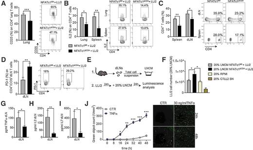 Figure 5. Cytokines secreted from NFATc1ΔCD4 dLNs support tumor cell growth. A, Flow cytometry analysis of CD25-expressing CD4+ T cells (%) in total lung cell suspension of lung tumor-bearing NFATc1fl/fl and NFATc1ΔCD4 mice (NNFATc1fl/fl+LL/2 = 8, NNFATc1ΔCD4+LL/2 = 11). B, Flow cytometry analysis of IL2 production by CD4+ T cells (%) in total cell suspension of the lung and the spleen of tumor-bearing NFATc1fl/fl and NFATc1ΔCD4 mice (lung: NNFATc1fl/fl+LL/2 = 8, NNFATc1ΔCD4+LL/2 = 11; spleen: NNFATc1fl/fl+LL/2 = 4, NNFATc1ΔCD4+LL/2 = 5). C, Flow cytometry analyses of CD4+ T-cell population (%) in total cell suspension of the spleen and the draining lymph nodes (dLN) of tumor-bearing NFATc1fl/fl and NFATc1ΔCD4 mice (spleen: NNFATc1fl/fl+LL/2 = 4, NNFATc1ΔCD4+LL/2 = 5; dLN: NNFATc1fl/fl+LL/2 = 8, NNFATc1ΔCD4+LL/2 = 10). D, Flow cytometry analysis of PD-1 (%) gated on CD4+ICOS+ T cells in total cell suspension of dLNs of tumor-bearing NFATc1fl/fl and NFATc1ΔCD4 mice (NNFATc1fl/fl+LL/2 = 8, NNFATc1ΔCD4+LL/2 = 9). E, Experimental design. Cytotoxicity assay of LL/2 cells incubated with lymph node–conditioned medium (LNCM) from dLNs of tumor-bearing mice. Total cells of dLNs were cultured for 24 hours in the presence of αCD3 and αCD28 antibodies and resulting supernatant (SN) was defined as LNCM. LL/2 cells were incubated with 20% LNCM for 24 hours, followed by luminescence analysis to determine LL/2 cell numbers. F, Results of LL/2 cytotoxicity assay. LL/2 cells were incubated with 20% LNCM of tumor-bearing NFATc1fl/fl and NFATc1ΔCD4 mice. RPMI medium was used as a negative control, supernatant of CTLL2 cells as a positive control (NNFATc1fl/fl+LL/2 = 7, NNFATc1ΔCD4+LL/2 = 10, NRPMI = 8, NCTLL2 = 7). G–I, ELISA analysis of TNFα (G), IL2 (H), and IL7 (I) levels in LNCM of lung tumor–bearing NFATc1fl/fl and NFATc1ΔCD4 mice (TNFα: NNFATc1fl/fl+LL/2 = 6, NNFATc1ΔCD4+LL/2 = 10; IL2: NNFATc1fl/fl+LL/2 = 3, NNFATc1ΔCD4+LL/2 = 6; IL7: NNFATc1fl/fl+LL/2 = 3, NNFATc1ΔCD4+LL/2 = 5). J, LL/2 cells were cultured in the presence or absence (CTR) of TNFα (30 ng/mL) for 0–48 hours and treated with the IncuCyte Caspase-3/7 reagent to detect apoptotic cells (green object count, 1/mm2) using the IncuCyte Live Cell Analysis System (NCTR = 3, NTNFα = 3). N values are given per group. Data are shown as mean values ± SEM using Student two-tailed t test. *, P < 0.05; **, P < 0.01; ***, P < 0.001.