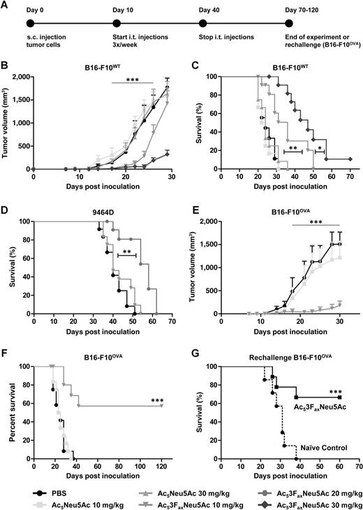 Figure 1. Intratumoral Ac53FaxNeu5Ac injections suppress tumor growth. A, Schematic representation of the experiment. B and C, Effect of intratumoral (i.t.) injections with sialic acid mimetics on B16-F10WT tumor growth. B16-F10WT tumor cells were inoculated subcutaneously (s.c.) and treated with PBS, 10 mg/kg or 30 mg/kg Ac5Neu5Ac or Ac53FaxNeu5Ac. Average B16-F10WT tumor growth ± SEM in time (B) and corresponding Kaplan–Meier curves (C) are shown (n = 9-12). D, Kaplan–Meier curves showing survival of mice with 9464D neuroblastoma treated with 10 mg/kg or 20 mg/kg sialic acid mimetics (n = 12). E and F, B16-F10OVA- bearing mice were injected i.t. with PBS or 10 mg/kg sialic acid mimetics (n = 9-12). Average tumor volumes ± SEM of the treatment groups in time are shown (E) as well as corresponding Kaplan–Meier curves (F). G, Rechallenge of mice with B16-F10OVA cells after Ac53FaxNeu5Ac–induced remission of the initial primary tumor. Kaplan–Meier curves show tumor take in naïve age-matched control mice (n = 7) or rechallenged mice after Ac53FaxNeu5Ac therapy (n = 9).