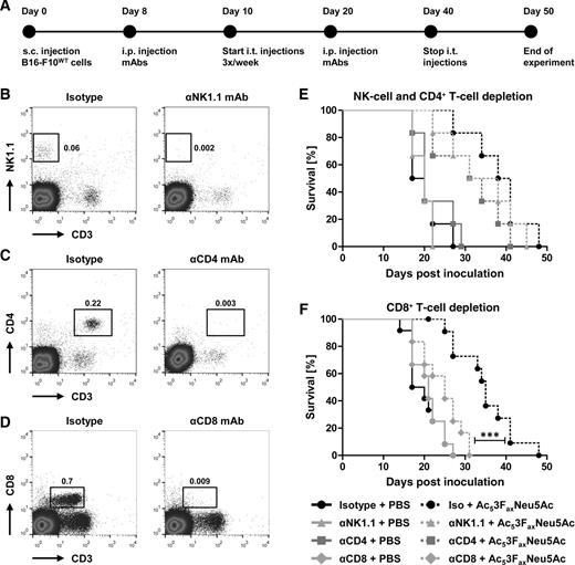 Figure 4. Depletion of CD8+ T cells abrogates the tumor-suppressive effects of Ac53FaxNeu5Ac. A, Schematic representation of the experiment. B–D, Representative dot plots showing depletion of effector immune cell subsets. NK cells (B), CD4+ T cells (C), and CD8+ T cells (D) in blood three days following isotype (left) or depleting antibody (right) injection are shown. E, Kaplan–Meier curves show percentage survival of B16-F10WT tumor-bearing mice treated with PBS or 10 mg/kg Ac53FaxNeu5Ac in combination with isotype, CD4+ T-cell, or NK-cell–depleting antibodies (n = 6). F, Kaplan–Meier curves showing percent survival of B16-F10WT tumor-bearing mice depleted from CD8+ T cells and treated with sialic acid mimetic or PBS (n = 12).