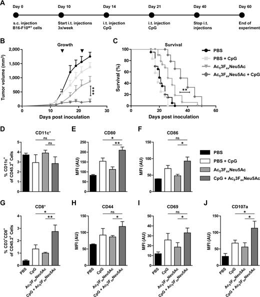 Figure 7. CpG immune adjuvant increases Ac53FaxNeu5Ac -mediated tumor growth suppression. A, Schematic representation of the experiment. B and C, B16-F10WT tumors were injected with PBS or Ac53FaxNeu5Ac three times a week, and on day 14 and 21 postinoculation, CpG was coinjected. Graphs show average tumor volume ± SEM (B) and survival (C) of the different treatment groups. D–F, Infiltration and maturation status of CD11c+ dendritic cells. Bar diagrams show mean percentage tumor-infiltrating dendritic cells ± SEM (D) and their expression of CD80 (E) and CD86 (F) as mean fluorescence intensity (MFI) ± SEM (n = 6). G–J, Number and activation status of CD8+ effector T cells in the tumor after treatment. Mean percentage ± SEM of CD8+ T cells (G) as well as their expression of CD44 (H), CD69 (I), and CD107a is shown (J; n = 6). AU, arbitrary unit.