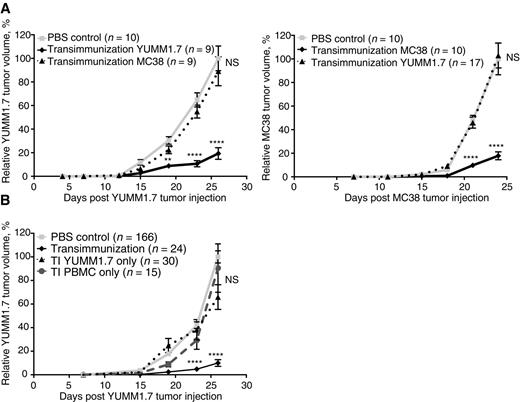 Figure 2. TI is specific and requires both TI-treated immune cells and 8-MOP/UVA-exposed tumor cells. A, Mean relative tumor volume over time plotted for C57BL/6 mice inoculated with either 1 × 105 YUMM1.7 or MC38 tumor cells and receiving six TI treatments using either the same (solid black lines) or different (dotted lines) tumor cells than the primary tumor. “PBS control” mice were bled on the same schedule but received six sterile PBS reinfusions. B, Mean relative tumor volume over time plotted for C57BL/6 mice inoculated with 1 × 105 YUMM1.7 tumor cells and receiving either six full treatments (TI), six reinfusions of TI-treated PBMC alone without tumor cells (TI PBMC only), or six reinfusions of 8-MOP/UVA-exposed tumor cells alone without PBMC (TI YUMM1.7 only). “PBS control” mice were bled on the same schedule but received six sterile PBS reinfusions. Data are cumulative over three independent experiments. A and B, For each experiment, individual tumor volumes were normalized to the average final volume of PBS control tumors for that experiment, and mean relative tumor volumes were then calculated. Bars, SEM. P values calculated for each time point using Sidak multiple comparisons test; **, P = 0.0011; ****, P < 0.0001; NS, differences not significant.