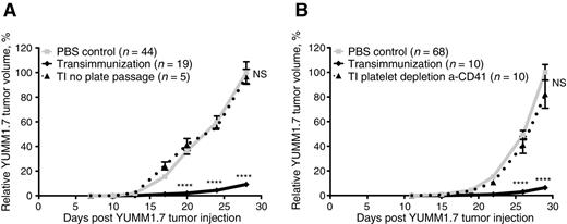 Figure 4. TI requires plate passage in the presence of platelets. A, Mean relative tumor volume over time plotted for C57BL/6 mice inoculated with 1 × 105 YUMM1.7 tumor cells and receiving either six TI treatments (solid black lines) or six TI treatments with plate passage step omitted (dotted lines). B, Mean relative tumor volume over time plotted for C57BL/6 mice inoculated with 1 × 105 YUMM1.7 tumor cells and receiving either six TI treatments (solid black lines) or six TI treatments where platelets were depleted from the PBMC prior to plate passage step using anti-CD41 depletion kit (dotted lines). A and B, “PBS control” mice in all experiments were bled on the same schedule as the experimental animals, but received six sterile PBS reinfusions. Data are representative of at least two independent experiments. For each experiment, individual tumor volumes were normalized to the average final volume of PBS control tumors for that experiment, and mean relative tumor volumes were then calculated. Bars, SEM. P values calculated for each time point using Sidak multiple comparisons test; ****, P < 0.0001 and NS, differences not significant.