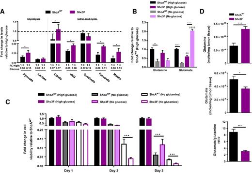 Figure 2. Impaired ShcA signaling increases the glutamine dependency of breast cancer cells. A, Glycolytic and CAC metabolite levels in ShcAWT and Shc3F cells cultured in high (25 mmol/L) or no (0 mmol/L) glucose for 3 days. The data are shown as fold change in metabolite levels following glucose withdrawal compared with 25 mmol/L glucose conditions ± SEM and is representative of three independent experiments. The raw data can be found in Supplementary Fig. S2A. B, The fold change in steady-state glutamine and glutamate levels, both under high glucose conditions and 48 hours following glucose withdrawal ± SEM. The data are representative of three independent experiments. C, ShcAWT and Shc3F cells were cultured in the presence or absence of glucose or glutamine for 3 days. The number of viable cells was quantified by trypan blue exclusion (n = 8). The data are representative of two independent experiments and are shown as fold change in viable cells relative to ShcAWT control cells ± SD. D, Glutamine and glutamate levels were quantified in ShcAWT (n = 10) and Shc3F (n = 11) mammary tumors by NMR analysis (moles of each metabolite/mg tumor tissue ± SEM). The glutamate/glutamine ratio was also calculated. *, P = 0.05; **, P < 0.01; ***, P = 0.001; ****, P < 0.0001.