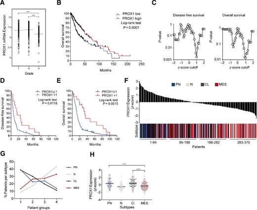 Figure 1. Comparison of PROX1 expression in glioma tumors of different grades and PROX1 correlation with survival and gene expression subtype. A, Comparison of PROX1 transcript levels in grade II to IV gliomas in a combined TCGA dataset (226 grade II, 244 grade III, and 150 grade IV gliomas; http://gliovis.bioinfo.cnio.es/). B, Kaplan–Meier curves showing that grade II to IV gliomas with high PROX1 levels had longer survival: median 67.5 months versus 34.9 months for the subgroup with low PROX1 (P < 0.0001). C, Analysis of PROX1 expression z-scores cutoffs (−2 and +2 threshold) in TCGA data for 206 patients with glioblastoma (http://cbioportal.org). Values between 0.8 and 1.3 for overall survival, and 0.9 and 1.3 for disease-free survival yielded significant results for differential survival. D and E, Kaplan–Meier curves showing significantly higher disease-free and overall survival for PROX1 expression z-score > 1. Patients with a PROX1 expression higher than z-score 1 had significantly higher overall survival (log-rank test, P = 0.00115), with the median survival 33.6 months as compared with 12.3 months for those with z-score ≤1 in the dataset. F, Distribution of PROX1 expression values for 375 patients with glioblastoma with available molecular subtypes in TCGA. There were no recurrent tumors included among the cases. Cases were divided into four equally sized groups based on PROX1 high to low expression values as indicated in the figure. One to 94 with high, 95 to 188 medium high, 188 to 282 medium low, and 283 to 375 low PROX1 expression. Corresponding subtypes are color-labeled in blue (proneural, PN), beige (neural, N), black (classical, CL), and red (mesenchymal, MES). G, Distribution of the percentage of each glioblastoma subtype between patients with high, medium high, medium low, and low expression of PROX1, according to the groups 1, 2, 3, and 4 in F, respectively. H, Scatter plot showing significantly lower PROX1 expression (z-score) in mesenchymal subtype compared with proneural (P < 0.0001) or classical subtype (P < 0.0001) in patients with glioblastoma from the same TCGA dataset as used in F.