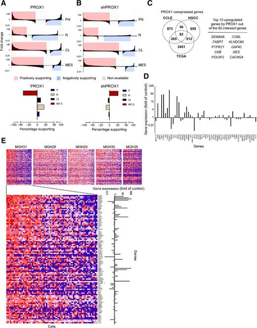 Figure 4. PROX1 regulation of glioblastoma expression-based subtypes. A, Changes of subtype defining genes upon PROX1 overexpression in U-343 MG compared with control assessed by RNA-seq. Genes in the pink or blue areas are regulated in the corresponding direction supporting the subtype change and add to a positive index score. Index value of −100 is full negative change of subtype, 0 is neutral, and 100 is a full positive subtype change. Gray, genes with no available measurement. PN, proneural; CL, classical; MES, mesenchymal; N, neural. B, The same illustration as for A, but corresponding to suppression of PROX1 in U-343 MGa versus control. C, Venn diagram representing number of genes positively regulated by PROX1 more than two-fold according to the RNA-seq data and found to have positive correlation with PROX1 in TCGA clinical data (r > 0.3). Highlighted are the genes with the highest increased expression levels by PROX1 overexpression (top 10). D, Bar graph depicting regulation of stemness signature genes from Patel and colleagues (4). by PROX1 overexpression in our in vitro system. E, Heatmaps representing gene expression of top 100 correlated genes with a PROX1 proxy profile in single-cell analysis data from five glioblastomas. The cells are arranged (from high to low) according to their correlation to the proxy profile in each tumor. Red, high gene expression; blue, low expression. Bar graphs represent PROX1 regulation of these genes based on the RNA-seq analysis of PROX1 overexpression in U-343 MG.