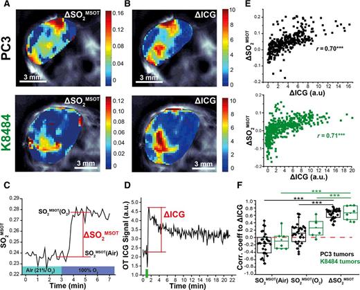 Figure 1. Tumor OE-OT and DCE-OT responses are strongly correlated. A strong spatial relationship was observed between the response maps for OE-OT (A) and DCE-OT (B) in both PC3 (top) and K8484 (bottom) tumors. OE and DCE kinetic curves (C and D) were used to quantify metrics, as denoted, that were then compared in correlation analyses on a per-pixel basis in each tumor. E, Exemplar per-pixel correlations for each tumor type. F, When comparing correlations extracted from the entire tumor cohort (each data point represents one tumor), significantly stronger correlations were observed in the dynamic OE-OT metric ΔSO2MSOT than either static metrics of SO2MSOT(Air) and SO2MSOT(O2). Red dashed horizontal line, no correlation (correlation coefficient of 0). Data in A to E are exemplars taken from one representative tumor for each type. Data in F are taken from the entire tumor cohort (n = 30 PC3; n = 7 K8484). ***, P < 0.001 by paired two-tailed t test. Boxes between 25th and 75th percentiles; line at median. a.u., arbitrary unit.