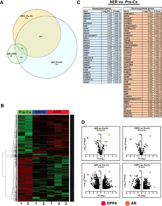 Figure 2. Analysis of RNA-seq from serial biopsies. A, Venn diagram depicting the overlap between differentially expressed genes in precastration (Pre-Cx), CRPC, and abiraterone/enzalutamide–resistant (AER) serial biopsies of four different VCaP xenografts. B, Unsupervised clustering of precastration, CRPC, and abiraterone/enzalutamide–resistant xenografts based on differential gene expression. C, Differentially expressed genes between abiraterone/enzalutamide–resistant and precastration xenografts that meet the stringent criteria of log2FC > 2.5 and P < 1 × 10−5. D, Volcano plots depicting AR target genes (266 AR gene signature from Mendiratta et al.; ref. 12), supplemented with a selection of DHT-responsive genes from Xu and colleagues (ref. 4; top), and all the significantly differentially expressed genes (bottom) in the abiraterone/enzalutamide–resistant versus precastration and CRPC versus precastration comparisons. DPP4 and AR are highlighted.