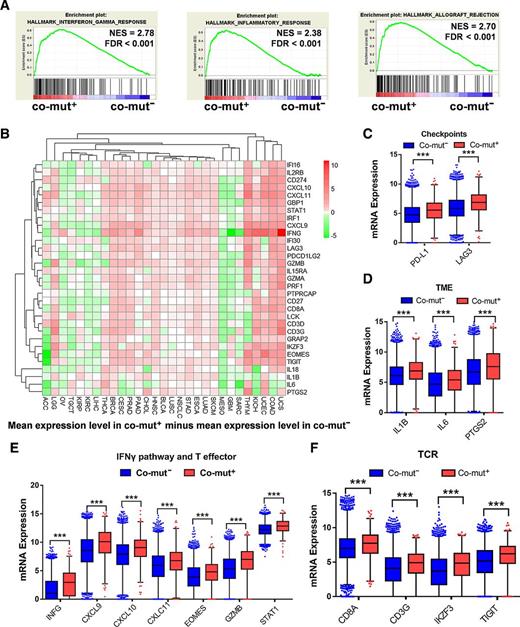 Figure 2. Correlations between comutations of HRR-BER or HRR-MMR and immune response–related gene mRNA expression. A, Impact of comutation status on immune response–related pathways. B, Heatmap depicting the mean differences in immune response–related gene mRNA expression between co-mut+ and co-mut− across different tumor types. The x-axis indicates different cancer types and the y-axis indicates gene names. Each square represents the difference of mean expression level of each indicated immune-related genes between co-mut+ and co-mut− in each cancer types. Red indicates that the gene's mean expression level was higher in the co-mut+ group than in the co-mut− group. Green indicates that the gene's mean expression level was lower in the co-mut+ group than in the co-mut− group. C–F, Comparison of the mRNA expression of genes related to immune checkpoints, tumor microenvironment, INFγ pathway and T-effector, and T-cell receptor signature between co-mut+ and co-mut− groups in the pan-cancer analysis. ***, FDR < 0.001. co-mut+, comutation of HRR-BER or HRR-MMR; TME, tumor microenvironment; TCR, T-cell receptor.