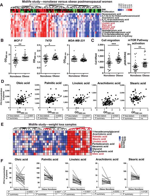 Figure 2. Validating plasma factors associated with obesity. A, Metabolite analysis of plasma samples from 63 obese or overweight versus 37 nonobese postmenopausal women from Midlife Women's Health Study that fits the criteria (2–3 years into menopause), as measured using GC-MS (red, BMI > 25; green, BMI < 25). Cluster 3 software was used to process the data. Raw relative concentration data were log transformed and metabolites (rows), and plasma samples from each individual (columns) were centered to mean. Hierarchical clustering was performed for metabolites and plasma samples using uncentered correlation as similarity metric and complete linkage as clustering method. Data are visualized using Java TreeView software. Bottom, each column represents a patient and each row represents a metabolite, with elevated levels in red, reduced levels in blue, and mean control levels in white. For BMI and proliferation data, red indicates higher values, whereas green indicates lower values. Bar, the log2 scale of coloring for normalized metabolite concentrations. B, Cell viability assays were performed in both ERα+ and ERα− breast cancer cell lines. The plasma from 35 obese and 35 nonobese individuals was used to treat the cells for 7 days before analysis by the WST1 assay. Three technical replicates were used. Unpaired t test was used to assess whether plasma from obese versus nonobese individuals resulted in statistically significant difference in breast cancer cell line viability. Each point is the average of values from three technical replicates treated with the same plasma samples. *, P < 0.05; **, P < 0.01. C, Cell migration was tested in BT474 cells treated with the plasma samples of 35 obese and 35 nonobese individuals for 24 hours before measurement of cell number per field. The mTOR pathway was found to be activated as indicated by increased pS6K activity by plasma from 35 obese individuals but not by plasma from 35 nonobese individuals in MCF-7 cells. Each point is the average of values from three technical replicates treated with the same plasma samples. Unpaired t test was used to assess whether plasma from obese versus nonobese individuals resulted in statistically significant difference in breast cancer cell line motility and mTOR pathway activation. **, P < 0.01; ***, P < 0.001. Mean ± SEM is plotted. D, Pearson correlation analysis of plasma concentrations of FFAs with MCF-7 proliferation from A. E, Metabolomics analysis of Midlife Women's Health Study-weight loss samples. Initial and final visit plasma samples from 21 postmenopausal women from Midlife Health Study who met the following criteria were analyzed: BMI > 25 at the initial visit and BMI < 25 at the last visit. First visit samples (when individuals were obese or overweight) are indicated with red-thick lines. F, Change in the plasma concentrations of FFAs characterized in E. An unpaired t test was used to assess whether various FFA treatments resulted in statistically significant stimulation of MCF-7 cell proliferation. Individual data points were plotted to indicate the change in FFA concentration after weight loss.