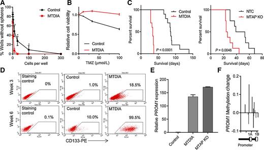 Figure 1. MTAP loss in transformed astrocytes promotes tumorigenic, CD133+ cells. A, Long-term MTAP inhibition with MTDIA (3 μmol) results in cells with greater sphere-forming capacity. Average of three experiments is shown and error bars denote SEM. Stem cell frequency calculated by extreme limiting dilution analysis shows stem cell frequency in MTDIA-treated cells of 1/3.82 cells [95% confidence interval (CI), 1/2.94–1/5.03] and in control cells is 1/21.95 (95% CI, 1/16.34–1/29.55), χ2 = 78.3, P = 8.8 × 10−19. B, Transformed astrocytes that had been transformed with or without MTDIA (3 μmol) in the culture media were treated with varying doses of temozolomide for 3 days, and cell viability was measured by CCK8 (n = 6, ANOVA P value < 1 × 10−4). C, Left, Kaplan–Meier survival curves show increased tumorigenicity of astrocytes treated with MTDIA (3 μmol) during the process of transformation with OMRP (transformation #1) in nude mice (log-rank P < 1 × 10−4). Right, CRISPR-mediated genetic knockout of MTAP in astrocytes during transformation (transformation #6) also results in increased tumorigenic potential (log-rank P = 0.0046). D, Flow cytometry measurement of CD133 expression shows progressive increase following astrocyte transformation that is enhanced by MTAP inhibition with MTDIA (3 μmol). E, MTAP knockout or treatment with MTAP inhibitor MTDIA (3 μmol) resulted in increased PROM1 transcription measured by RT-PCR at 6 weeks after transformation. F, Methylation of PROM1 promoter in parental transformed astrocytes relative to MTDIA-treated astrocytes measured by the MethylationEPIC array. Control astrocytes maintain higher PROM1 methylation levels than MTDIA-treated cells.