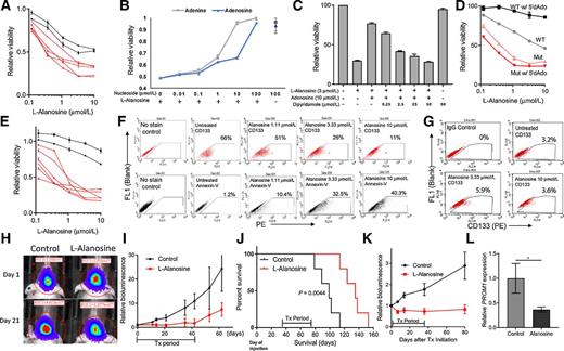 Figure 6. Purine deprivation therapy targets MTAP-null, CD133+ GBM cells. A, L-alanosine dose response curves were measured for 7 different patient-derived GBM cell lines, showing differential sensitivity to L-alanosine based on MTAP status. Red lines, MTAP deleted; black lines, MTAP WT. Cell viability is measured by CCK8. B, Supplementation of culture media with exogenous purines (adenine or adenosine) rescues MTAP-null 13-0302 cells from L-alanosine (3 μmol) toxicity. C, Inhibition of purine ENT1/2 transporters with dipyridamole blocks adenosine-mediated rescue of L-alanosine treated 13-0302 cells. D, Differential sensitivity to L-alanosine conferred by MTAP status is magnified with the addition of exogenous MTAP substrate 5′dAdo (30 μmol). Red, MTAP-deleted cells (12-0160); gray/black, MTAP wild-type cells (12-0358). E, L-Alanosine + 5′dAdo (30 μmol/L) treatment of the same cell lines shown in A, with cell viability measured by CCK8. F, MTAP-null 13-0302 cells were treated with L-alanosine for 3 days, then stained with PE-conjugated anti-CD133 antibodies or PE-conjugated Annexin V and quantified by flow cytometry. Flow cytometry shows that L-alanosine specifically depletes CD133+ cells in a dose-dependent fashion (top) and induces apoptosis as measured by Annexin V quantification (bottom). G, MTAP WT 12-0358 cells were treated with the indicated doses of L-alanosine for 3 days and stained with PE-conjugated anti-CD133 antibodies. H, Representative images of 12-0160 intracranial xenograft tumor response to L-alanosine (225 mg/kg, i.p.) on day 21 of treatment, measured by bioluminescence. I, Average bioluminescent values for 12-0160-luciferase intracranial xenografts, n = 5 mice per arm. Treatment was started 35 days after cell injection. Mice were treated with intraperitoneal L-alanosine daily for 42 days. First sacrifice of control animals corresponds with the last day of treatment (day 42); subsequent data points on this control curve are skewed downward because of loss of bioluminescent signal from sacrificed animals, ANOVA P = 0.0009. J, Kaplan–Meier curves showing prolonged survival of alanosine-treated animals from I. Median survival, 99 versus 135 days; log-rank P < 0.0044. K, Average bioluminescence values showing response of 13-0302 intracranial xenografts to L-alanosine (225 mg/kg), n = 7 animals per arm. Treatment began 15 days after cell injection, and mice were treated for 35 days (ANOVA, P < 1 × 10−4). L, PROM1 expression was measured by RT-PCR using RNA from L-alanosine–treated 12-0160 intracranial xenograft tissue (n = 6 samples/condition; each sample was measured in triplicate in two independent experiments; *, P < 0.05).