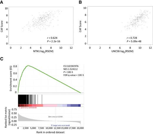Figure 1. In human colorectal cancer, netrin-1 and UNC5B level correlates with high CAF contribution. A and B, Scatter plot of CAF score versus NTN1 and UNC5B expression. It is shown that expression of NTN1 and UNC5B is correlated to CAF score in a colorectal cancer database. C, Enrichment profile from the stromal SSM (stem/serrated/mesenchymal) gene set signature obtained by GSEA analysis. Enrichment plot is used to calculate the enrichment score (ES) for this gene set when comparing colorectal tumors with high and low netrin-1 expression levels.