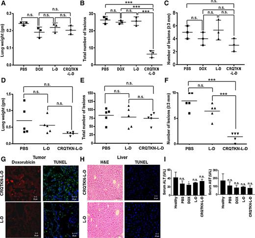 Figure 4. Antitumor growth activity of untargeted and the CRQTKN-targeted liposomes in K-rasLA2 mutant mice. A–C, K-rasLA2 mutant mice at 10 week of age were treated with intravenous injection of PBS, doxorubicin (DOX), and L-D or CRQTKN-L-D. Weights of tumor-bearing lungs (A), total number of tumor nodules (B), and the number of tumor nodules measuring 3 mm or above in diameter (C) in the lungs after the treatments. Data are mean ± SE (n = 3 for each group). D–F, K-rasLA2 mutant mice at 18 week of age were treated with intravenous injection of PBS, L-D, and CRQTKN-L-D. Weights of tumor-bearing lungs (D), total number of tumor nodules (E), and the number of tumor nodules measuring 3 mm or above in diameter (F) in the lungs after the treatments. Horizontal bars represent mean values for each group (n = 5). G, The levels of doxorubicin (red) and TUNEL-stained apoptosis (green) in tumor tissues after the treatments. Nuclei were stained with DAPI (blue). H, Hematoxylin and eosin (H&E) and TUNEL (green) staining of the liver tissues in K-rasLA2 mutant after the treatments. Nuclei were stained with DAPI (blue). Scale bars, 20 μm. I, Serum levels of alanine aminotransferase (ALT) and aspartate aminotransferase (AST) in K-rasLA2 mutant mice after the treatments. *, P < 0.05 compared with healthy control; ***, P < 0.001; n.s., not significant.