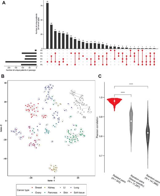 Figure 2. Gene expression landscape of PDXs is consistent across passages. A, Distribution of samples in different passages. B, t-SNE analysis of gene expression data (for 17,304 genes) from different passages of the PDXs. Samples belonging to same lineage but belonging to different passages are linked together by line (light gray color). Overlapping samples or samples very near to each other are connected using curved lines (light gray color). C, Pearson correlation for related sample pairs (belonging to same lineage) and randomly selected samples pairs. The correlation coefficient of related pairs is significantly higher than randomly selected pairs (P < 0.001). All available (17,304) gene expressions were used for the computation of the correlation coefficient.