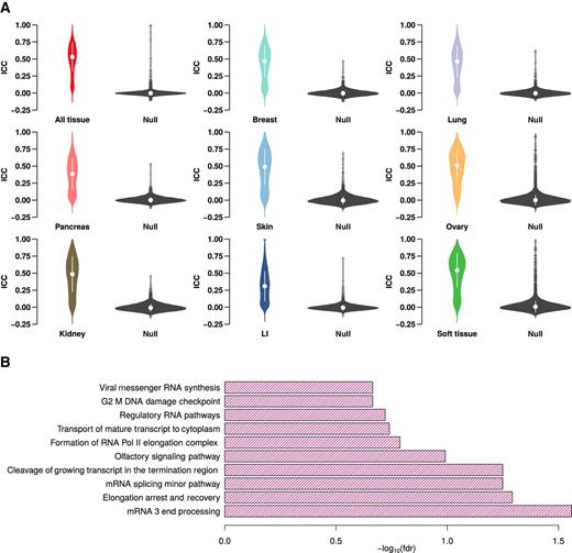 Figure 3. PDX maintains expression pattern of the genes across passages. A, Violin plot shows ICC for genes across PDX passages for all samples and is stratified by tissue type. Black violin plot represents ICC values for genes calculated using nonpassage-related (randomly selected) samples. B, Pathways are stable across passages in PDXs. Barplot shows top 10 pathways with negative enrichment score in gene-set enrichment analysis. Only one pathway has a statistically significant (FDR < 0.05) negative enrichment score across PDX passages.