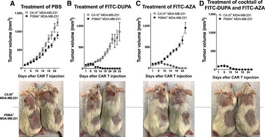 Figure 4. Demonstration that antigenically different tumor clones can be simultaneously eradicated by a single anti-FITC CAR T-cell preparation in combination with a cocktail of antigen-matched CAMs. Anti-FITC CAR T cells (107 cells) were infused into NSG mice bearing MDA-MB-231 (PSMA+) solid tumors on their right flanks and MDA-MB-231 (CA IX+) solid tumors on their necks after tumors reached 100 mm3. Mice were then treated with either PBS (A), FITC-DUPA only (B), FITC-AZA only (C), or a mixture of FITC-DUPA and FITC-AZA (D) using the dose-escalation schedule described in Fig. 3. n = 5 mice per group. All data represent mean ± SEM. Data shown represent data from two independent experiments.