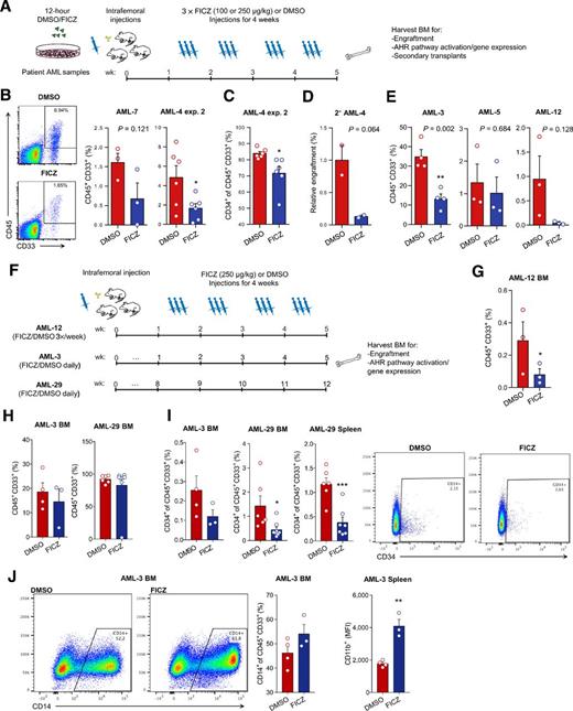 Figure 4. FICZ administration reduces human leukemia disease burden. A, Schematic for in vitro/in vivo FICZ treatment in human AML-reconstituted NSG mice. B, AML engraftment in 100 μg/kg FICZ-treated mouse BM post-FICZ administration (n = 3–6/condition). An outlier was removed from the AML-7 FICZ cohort, according to Grubb test (P = 0.038). C, CD34 expression in AML-4 xenografts (n = 6/condition). D, AML-4 secondary xenotransplant engraftment levels without further FICZ treatment (n = 2/condition). E, AML engraftment within right femur after 250 μg/kg FICZ (n = 3–4/condition). F, Schematic for in vivo FICZ treatment of AML-reconstituted NSG mice. G, AML-12 leukemic engraftment post-FICZ treatment (n = 3/condition). H, Leukemic engraftment in FICZ-treated mice transplanted with AML-3 and AML-29 (n = 3–7). I, Quantified (left) and representative (right) CD34+ percentages in primary AML grafts post-FICZ treatment. J, Percentage of CD14 (left) and mean fluorescence intensity (MFI) of CD11b (right) in grafts (I; n = 3–4). Data shown as mean ± SEM. *, P < 0.05; **, P < 0.01.