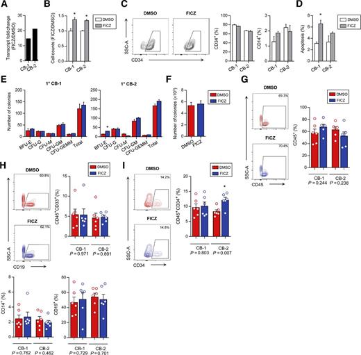 Figure 5. Human CB is not affected by FICZ stimulation. CB CYP1B1 levels (A) and cell counts (B) after 72 hours of FICZ stimulation (n = 3). C, CD34 and CD14 expression on FICZ-treated CB cells post-FICZ (n = 3). D, Cell death quantification in CB cells treated with FICZ (n = 3). E, Primary CFU assays of FICZ-supplemented CB (n = 2). F, Secondary CB CFU output in methylcellulose without supplementation (n = 4). G, Human hematopoietic engraftment in injected femurs of mice treated with 250 μg/kg FICZ at 8 weeks posttransplantation (n = 6/condition). H, Representative CD19 positivity (left) and summary of CD33, CD14, and CD19 expression in FICZ-treated CB grafts (n = 6/condition). I, CD34 positivity in CB grafts treated with FICZ (n = 6/condition) Data shown as mean ± SEM. *, P < 0.05.