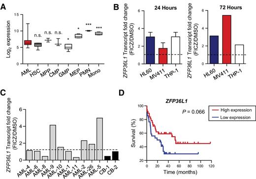 Figure 6. Activation of AHR pathway upregulates its target, ZFP36L1, in AML. A, ZFP36L1 expression across AML and normal hematopoietic populations. Each group was compared with AML using an unpaired parametric t test. B, ZFP36L1 transcript fold change in 24- (n = 2) or 72-hour (n = 1) FICZ-treated HL60, MV411, and THP-1 cells. C, ZFP36L1 transcript fold change in 24-hour FICZ-treated primary AML samples and cord blood (n = 1). D, Survival curve comparing patients with high or low ZFP36L1 expression within those with AHRlow/ZFP36L1low population (high, n = 37; low, n = 34). Data shown as mean ± SEM. *, P < 0.05; **, P < 0.01; ***, P < 0.001; n.s., nonsignificant.